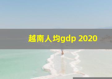 越南人均gdp 2020